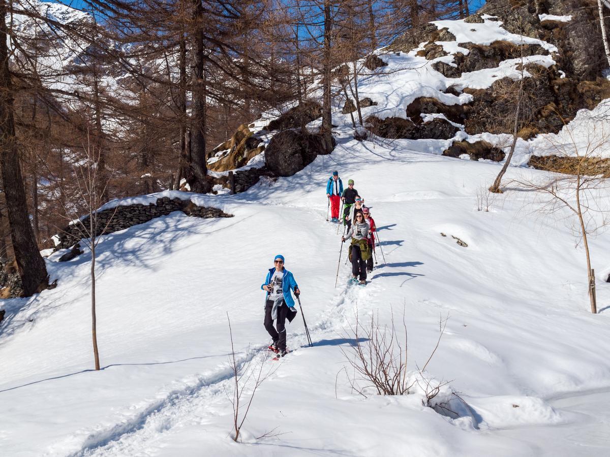 Gruppenhaus Im Walliser Alpstyle Rosswald Εξωτερικό φωτογραφία