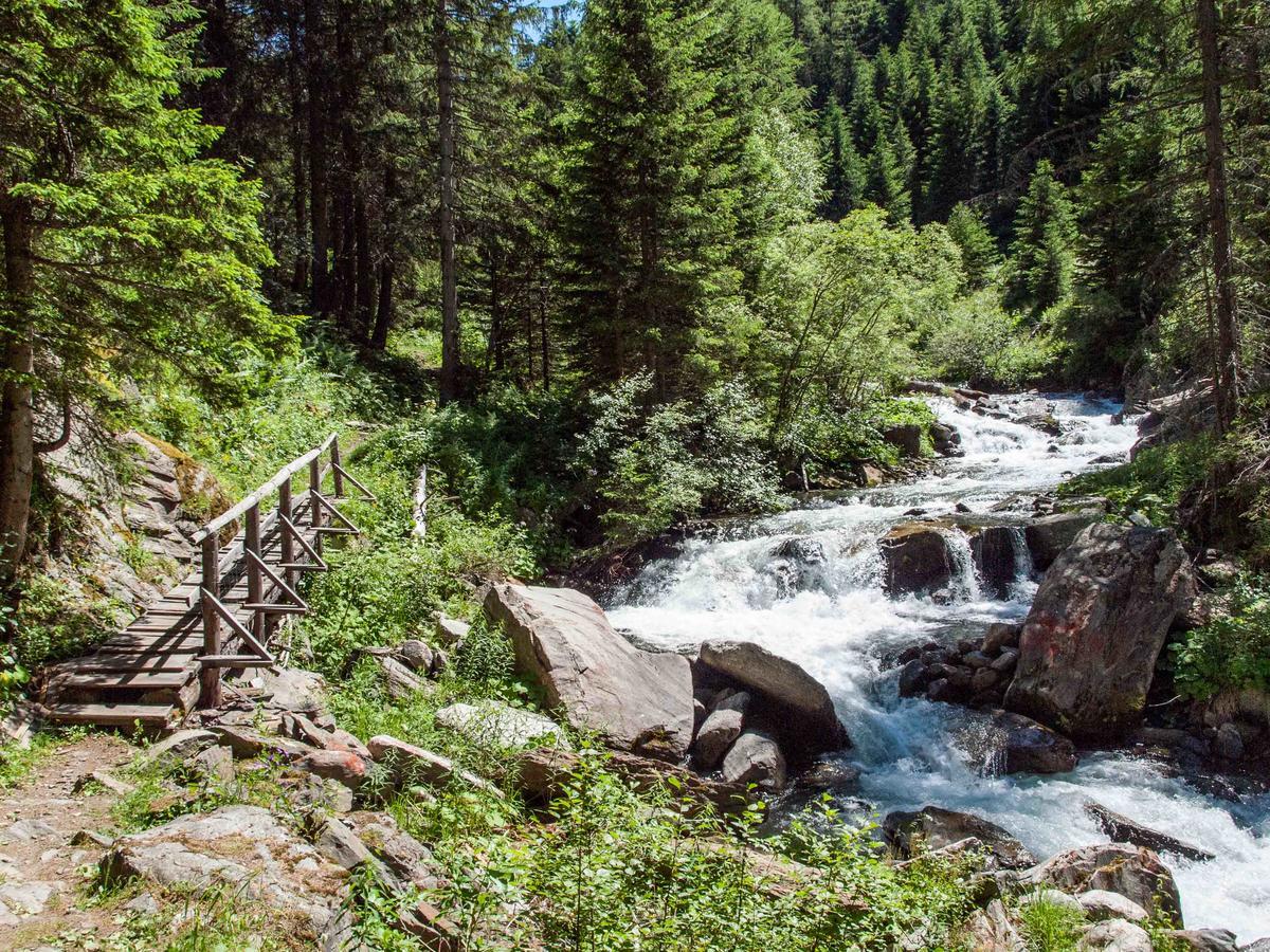 Gruppenhaus Im Walliser Alpstyle Rosswald Εξωτερικό φωτογραφία